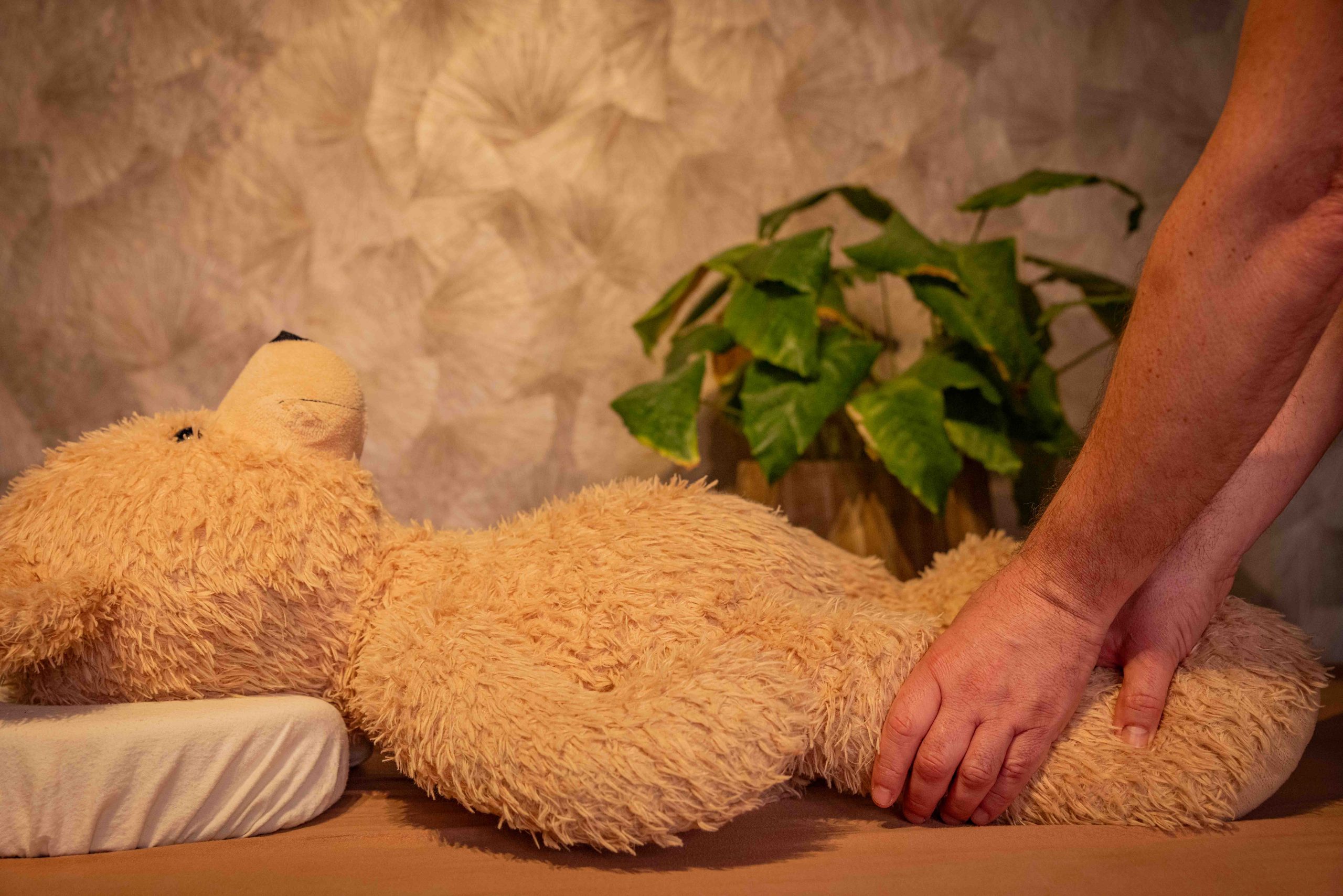 Alexander Breck | Individuelle Massage | Lymphdrainage | Sportmassage | Entspannungsmassage