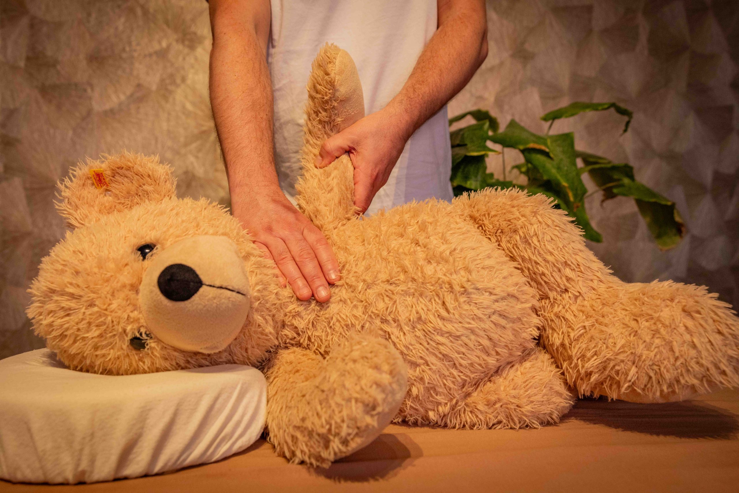 Alexander Breck | Physiotherapie 